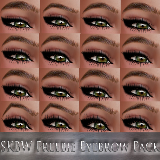 SKBW Eyebrows Freebie Pack of 16
