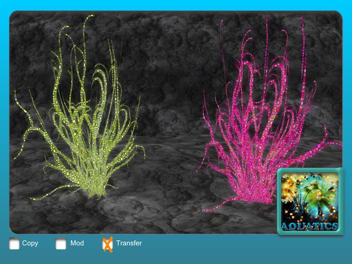 Serene Yellow & Pink 2pack 