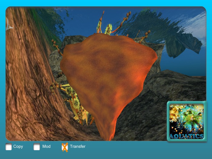 FYN Sweet Rock Fantasy Orange