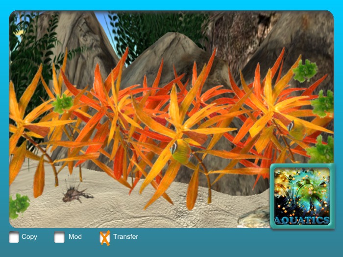 LMS Pacifica Orange 10 prims