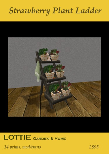 * LOTTIE Strawberry Plant Ladder 