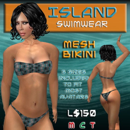 Teal Ribbon Mesh Bikini