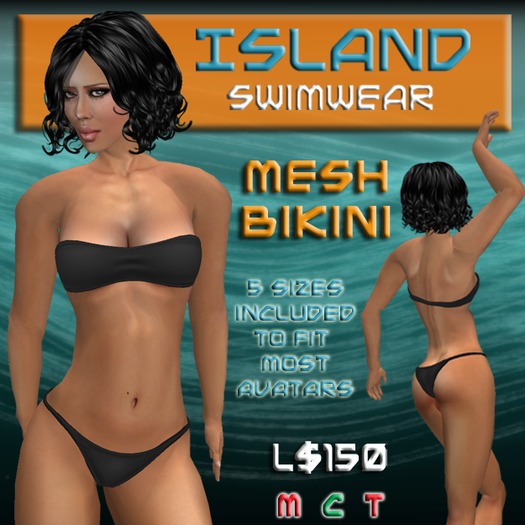 Black Mesh Bikini