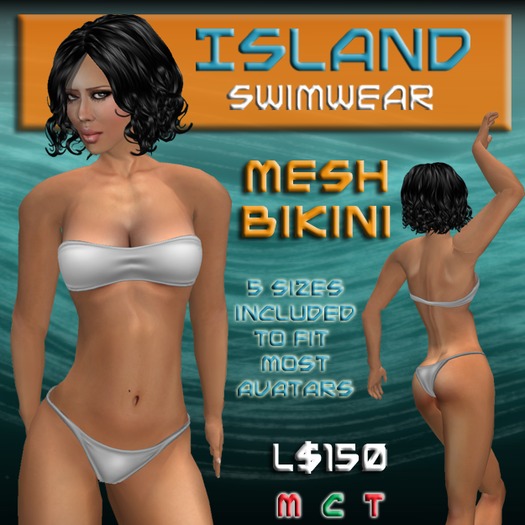 White Mesh Bikini