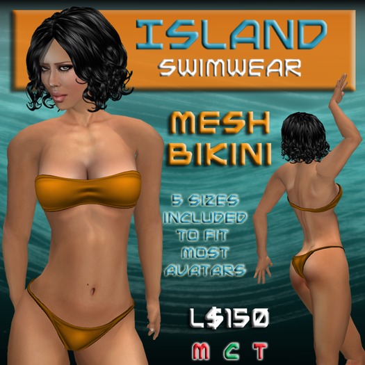 Orange Mesh Bikini