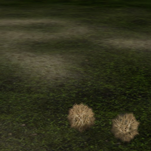 TumbleWeeds