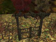 Autumn Gateway (One of our many Autumn and Fall catalogue entries for flowers, plants, trees, shrubs and landscaping)