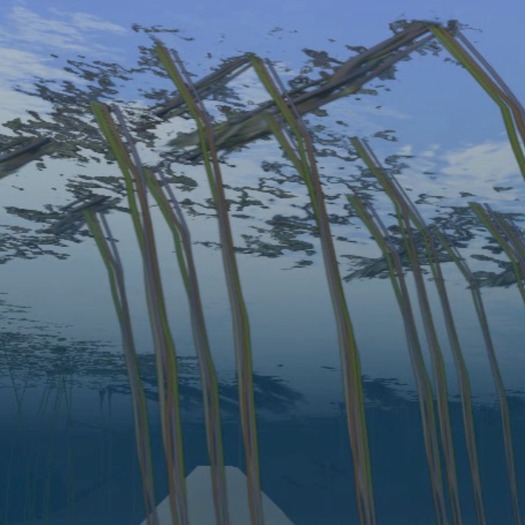 Living Low Tide Kelp swings down current