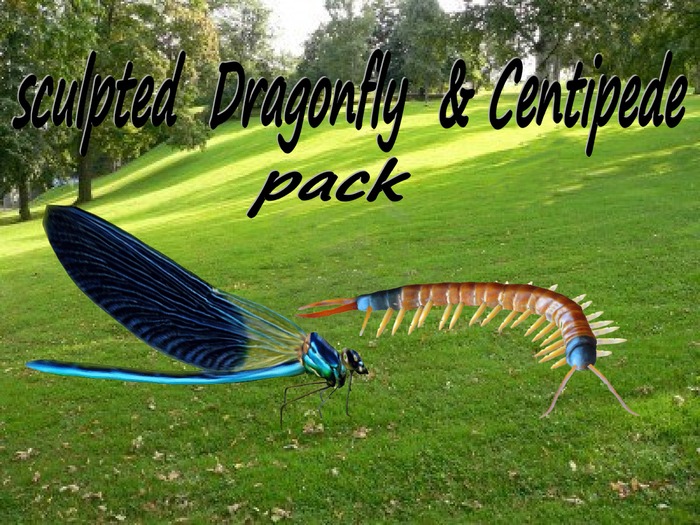 sculpted Centipede & Dragonfly