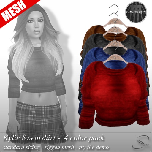 [Stellar] Kylie Mesh Sweatshirt DEMOS
