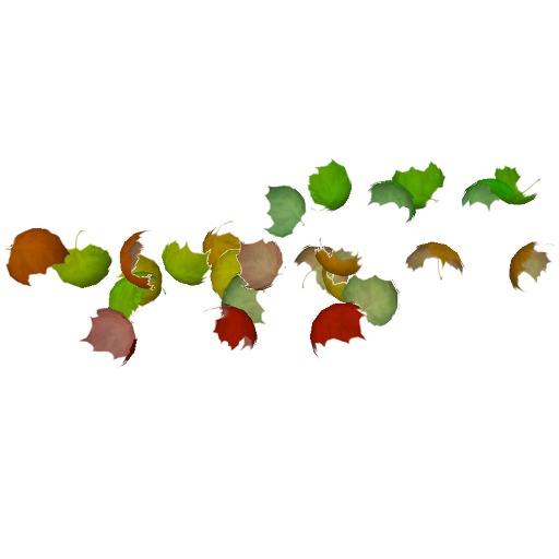 Wind Blown Autumn Maple Leaves