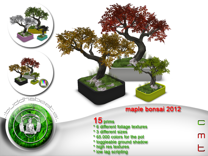 .:buddhabeats:.  Maple Bonsai