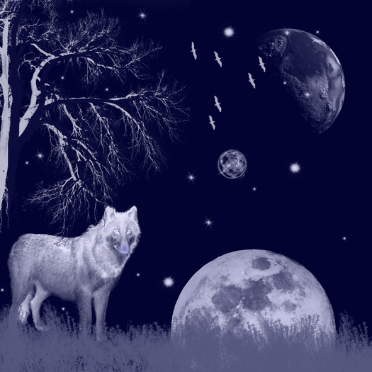 WHITEWOLFfantasytexture