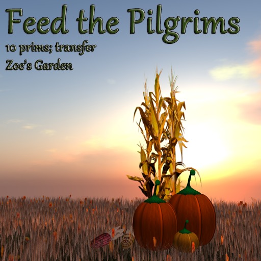 *ZG* Feed the Pilgrims!