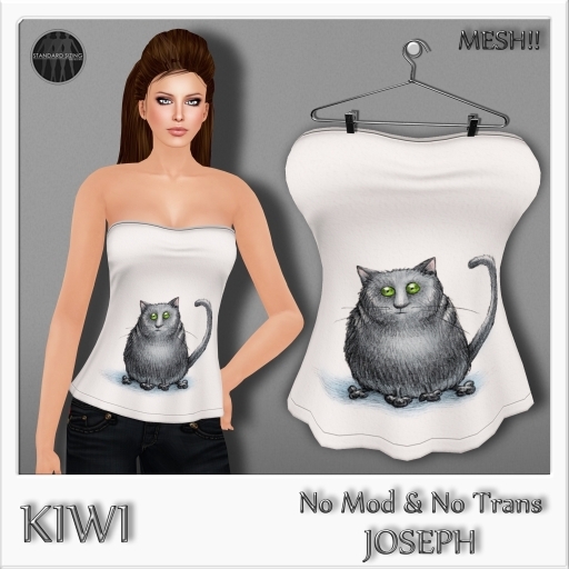 KIWI JOSEPH MESH TUBE TOP