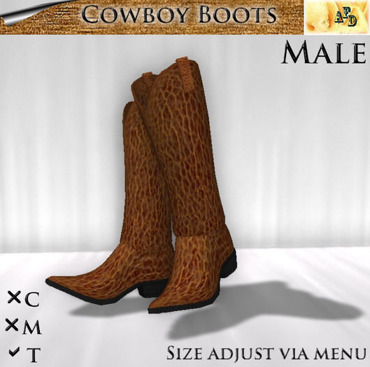**AFD** Cowboy Boots brown Men
