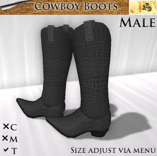 **AFD** Cowboy Boots black Men