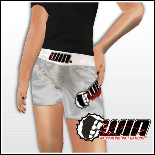 WIN Silver Short Trunks White Elastic
