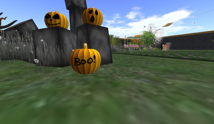 Halloween! Pumpkin, Boo!