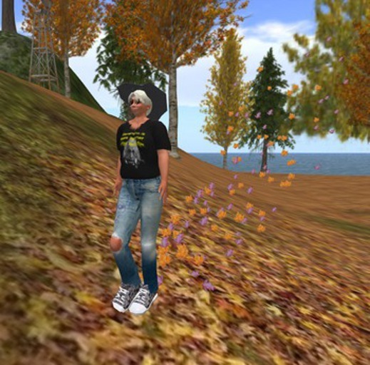 Wingsong Leaf Walk Box