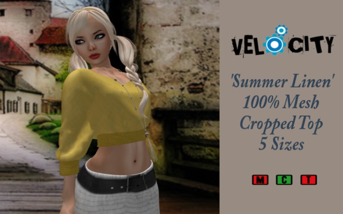 VELOCITY Gold Mesh Cropped Sweater