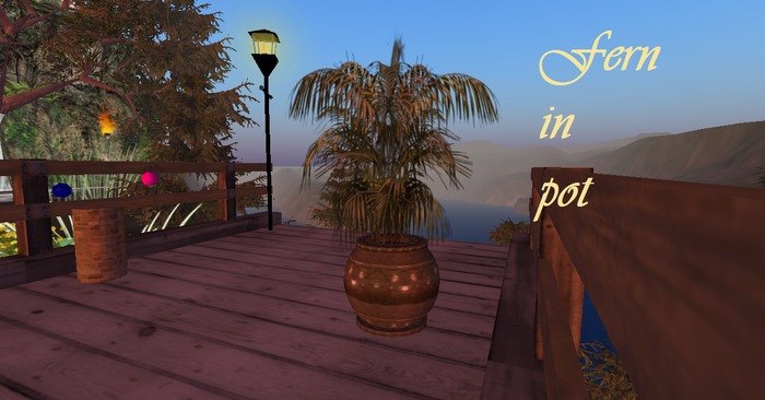 pot with fern -