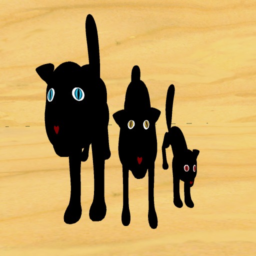 Black Cat 3 Pack Box