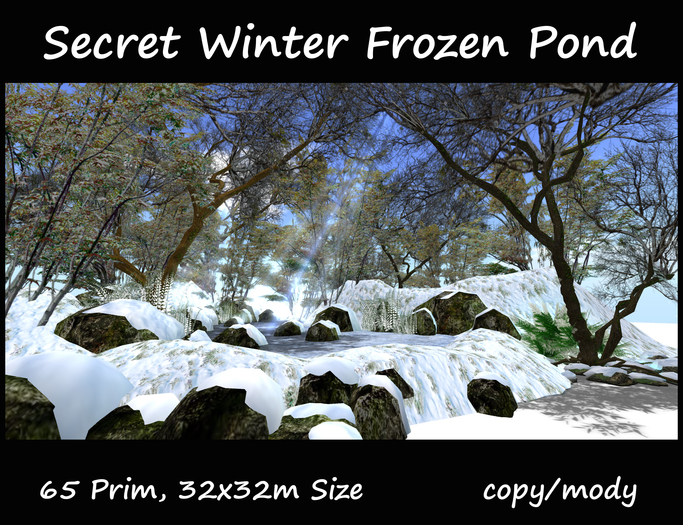Secret Winter Frozen Pond 