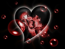 i love you rose & bubble texture