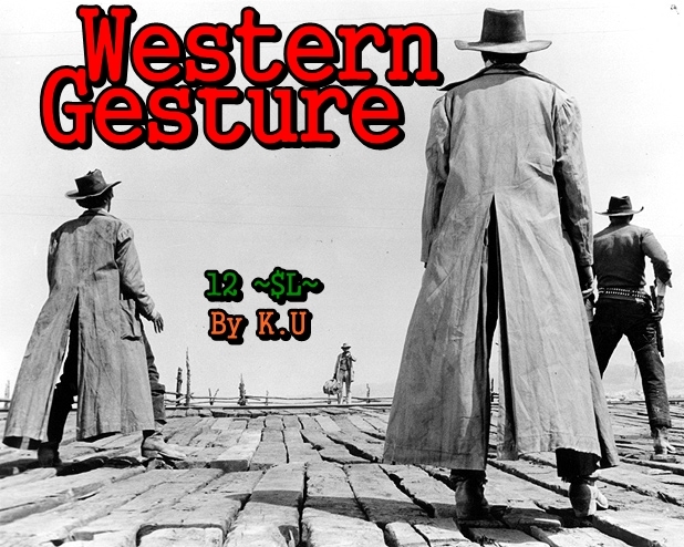 NEW ~ Gesture Western (Harmonica)