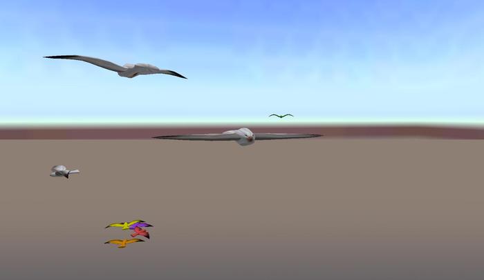 Seagull and Parrot Spawner!