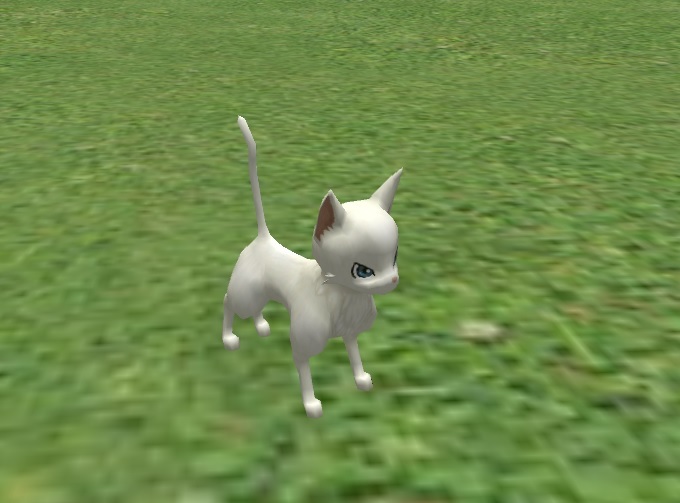 AMU - White Catz!
