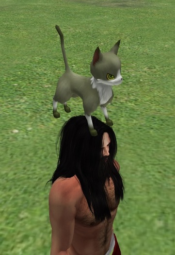 AMU - Green Catz!