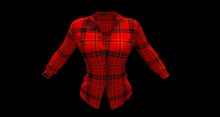 Ladies Long Sleeved Shirt ~ Tartan