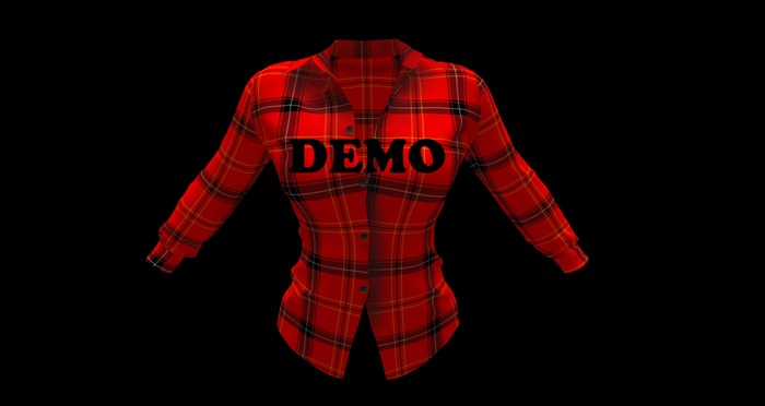 Ladies Long Sleeved Shirt ~ DEMO 