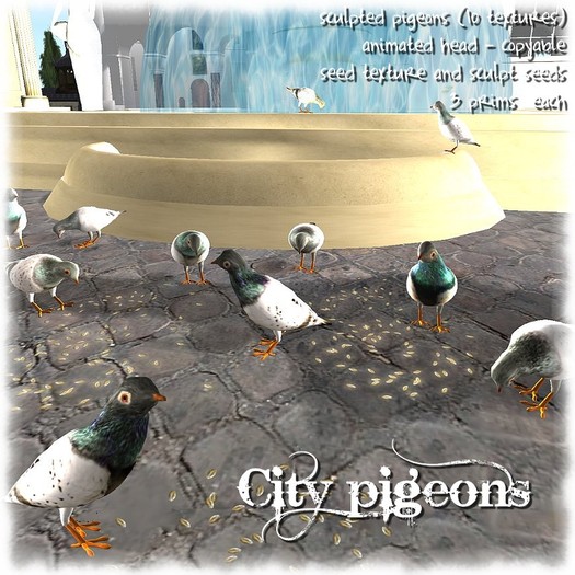 Pigeons *NS*