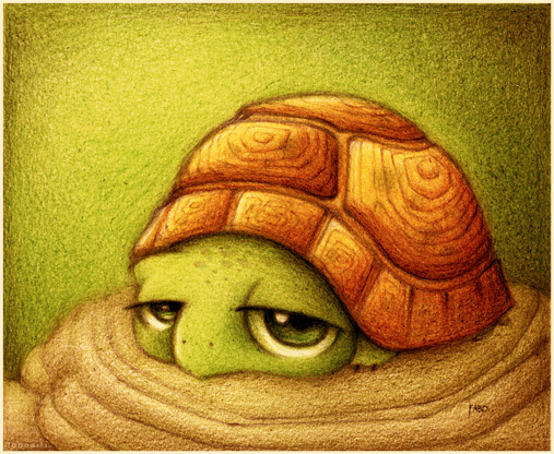 Art - Tortuga