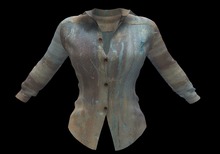 Ladies Long Sleeved Shirt ~ Paint 