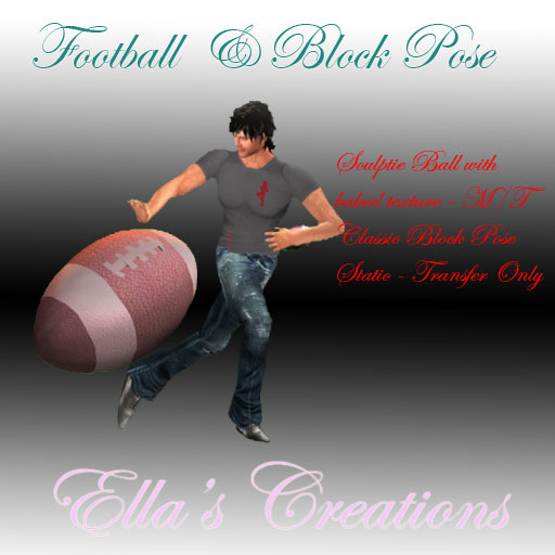 EC Football Blocking Pose and Ball