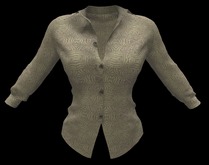 Ladies Long Sleeved Shirt ~ DF 5-1