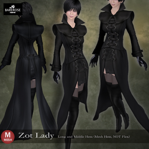 ::: B@R ::: Zot Lady