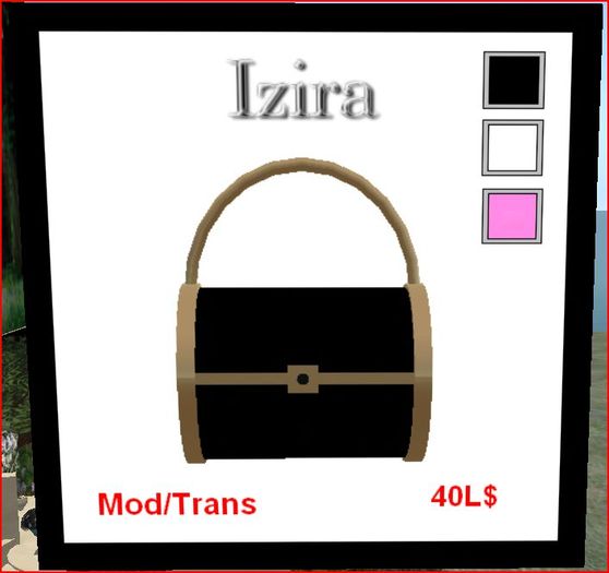 izira  bag