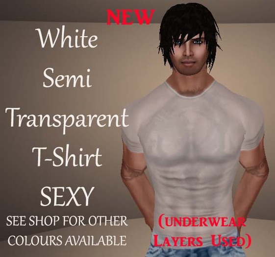 Sexy White Semi Sheer T Shirt (underwear layers) *****