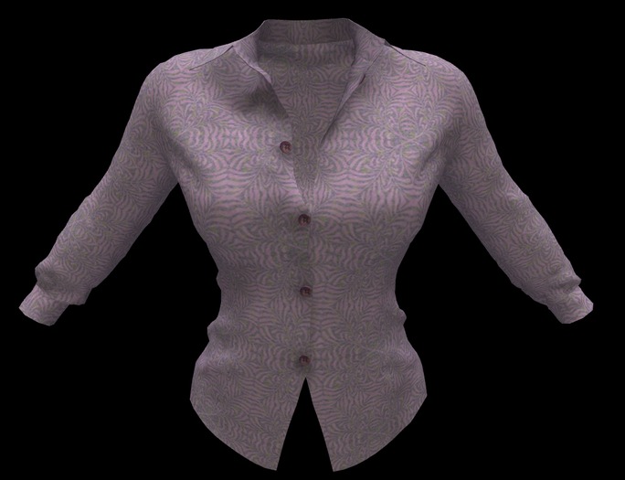 Ladies Long Sleeved Shirt ~ DF 5-4 