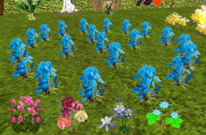 plant07- 5 fleurs MP