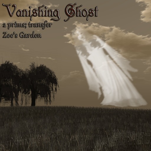 *ZG* Vanishing Ghost