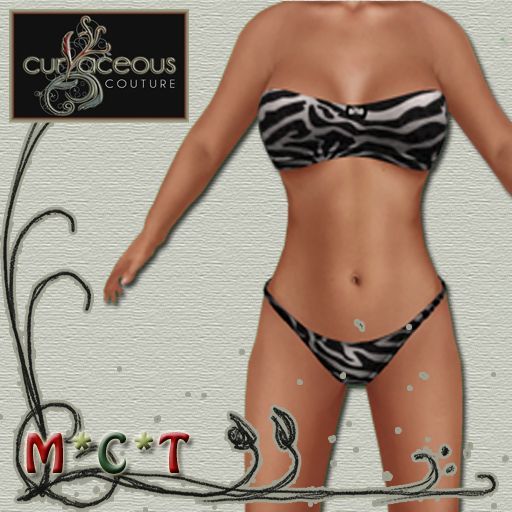 ~CURVACEOUS~Black Zebra Lingerie set