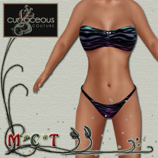 ~CURVACEOUS~Rainbow Zebra Lingerie set