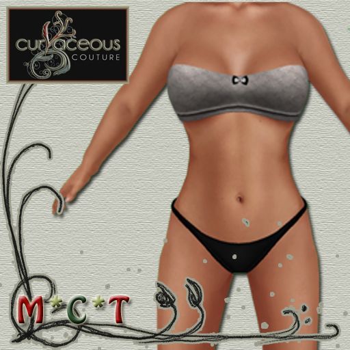 ~CURVACEOUS~(SILVER)Satin and lace Lingerie Set