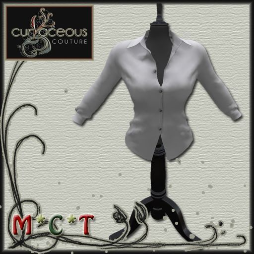 ~CURVACEOUS~White Solid Mesh_Ladies Shirt Long Sleeves